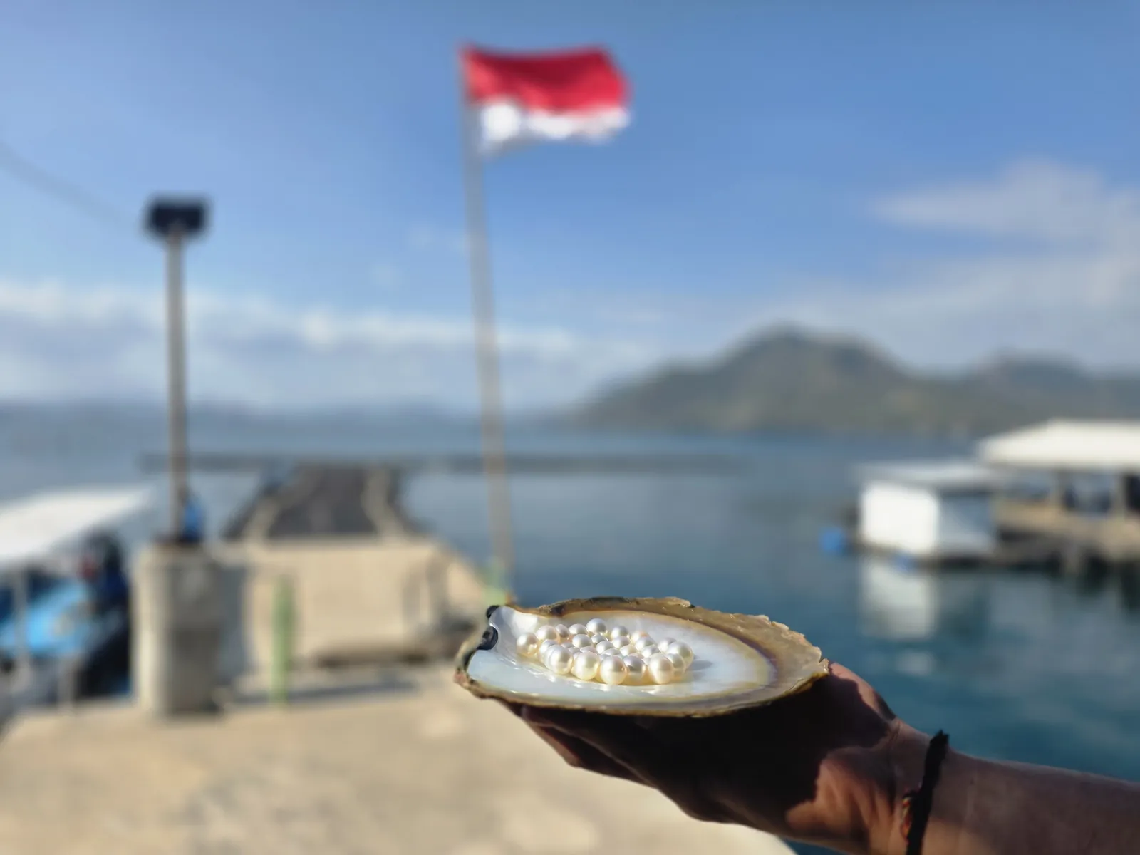 Mutiara di dermaga budidaya