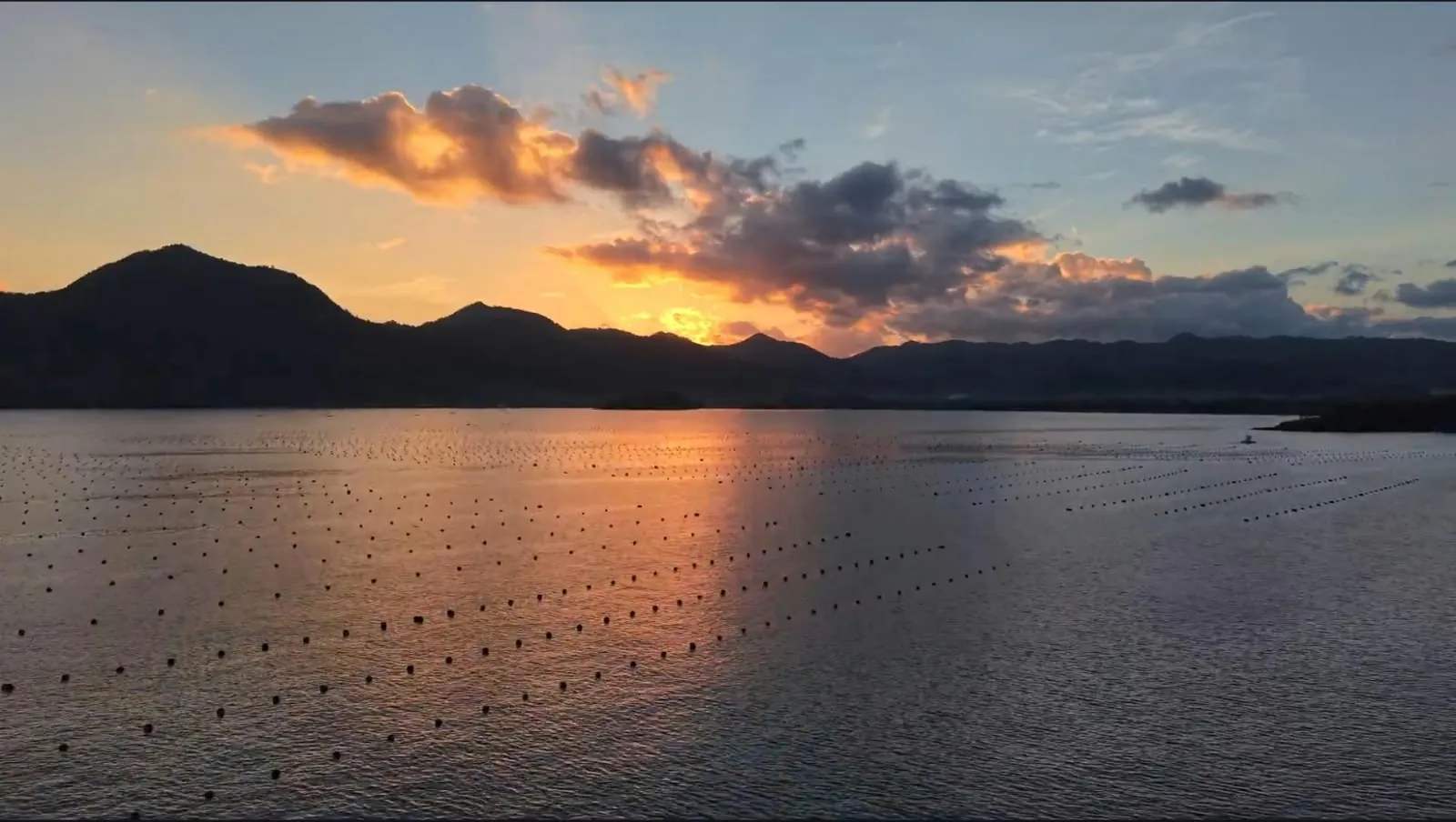 Longline budidaya mutiara saat senja